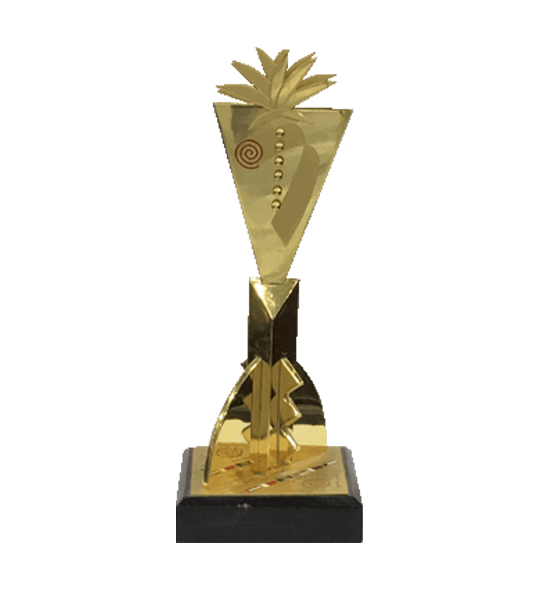 الجائزة الذهبية لمهرجان الخليج السابع للإنتاج الإذاعي والتلفزيوني
