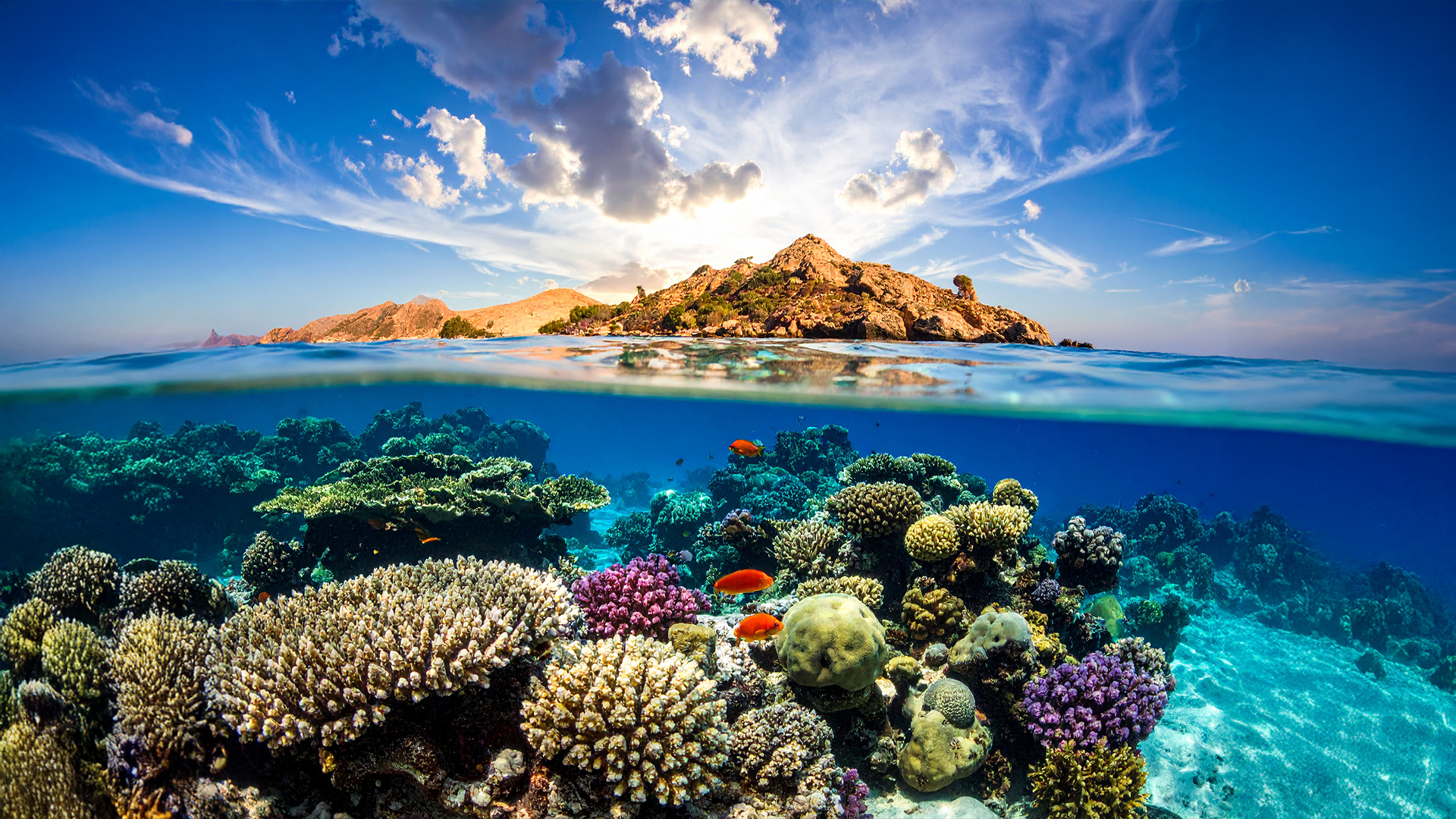 كنوز الخليج