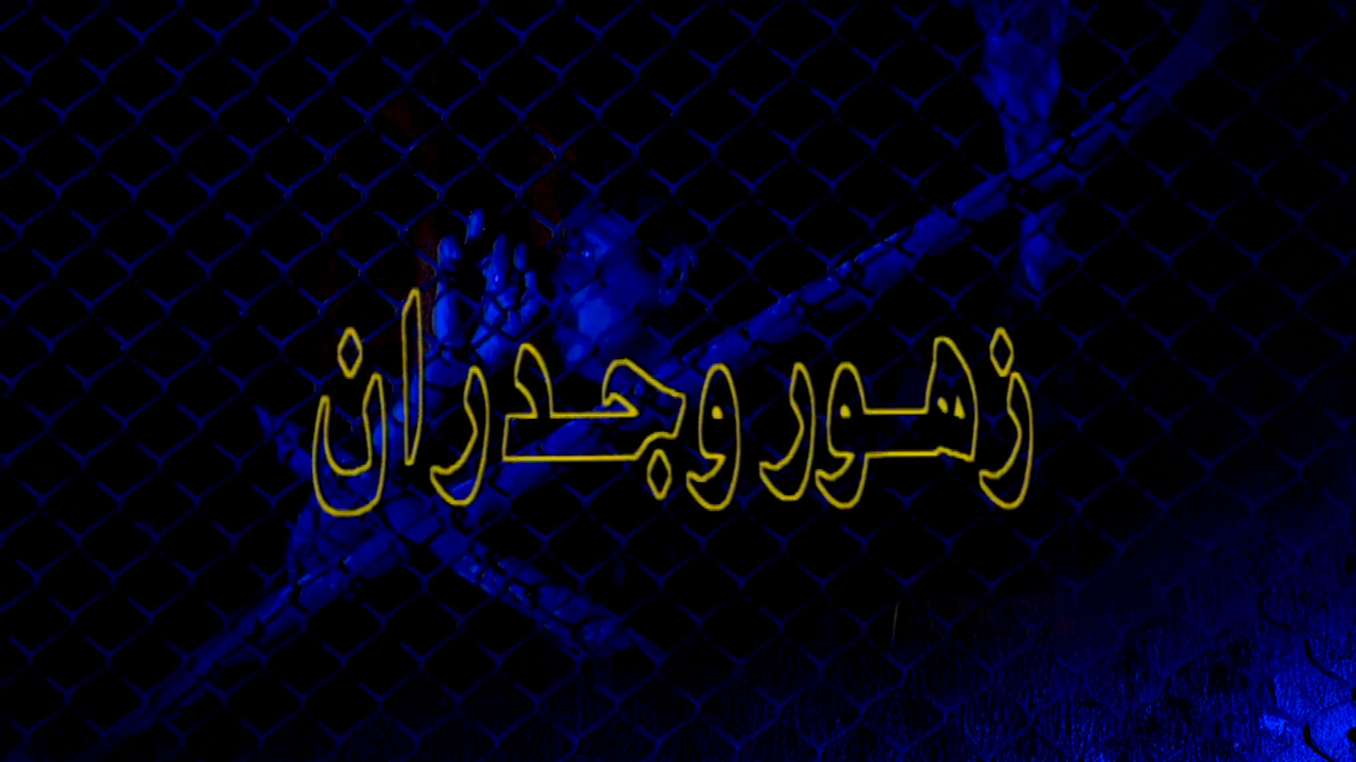 زهور وجدران