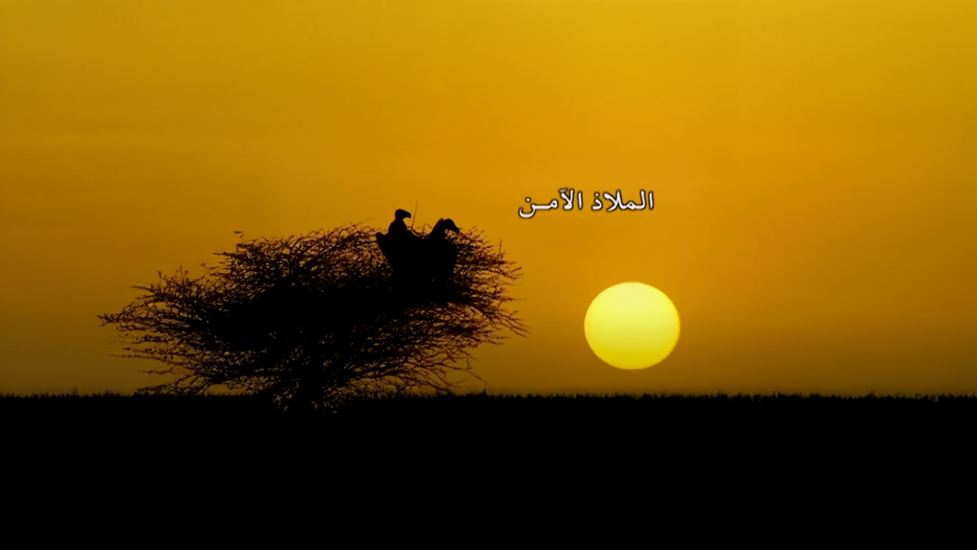 الملاذ الآمن